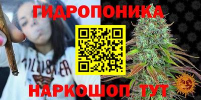 индика Железногорск