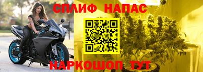 гидра Ижевск