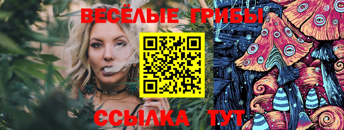 магазин продажи наркотиков  Псилоцибиновые грибы прущие грибы  Вход с VPN  Санкт-Петербург 
