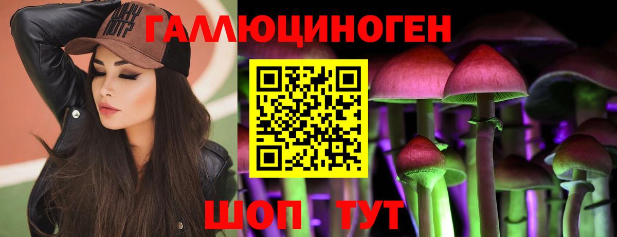 Псилоцибиновые грибы GOLDEN TEACHER Санкт-Петербург